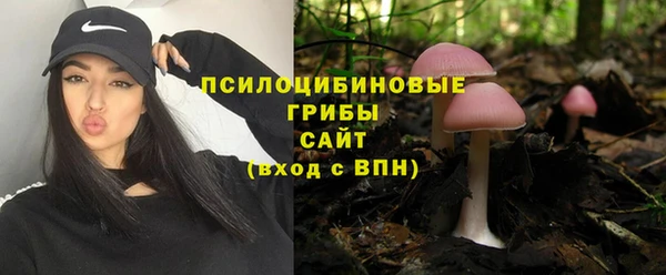 ECSTASY Алексин