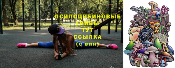 ECSTASY Алексин