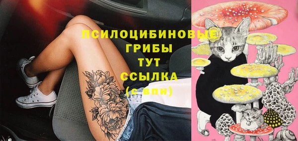 ГАЛЛЮЦИНОГЕННЫЕ ГРИБЫ Алексеевка