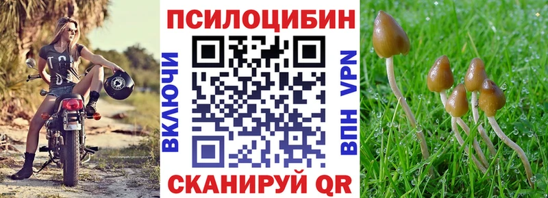 Псилоцибиновые грибы GOLDEN TEACHER  где купить   Красавино 